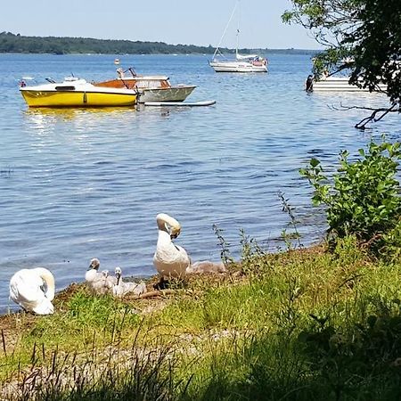 Ferienwohnung Am Schweriner See Raben Steinfeld ภายนอก รูปภาพ
