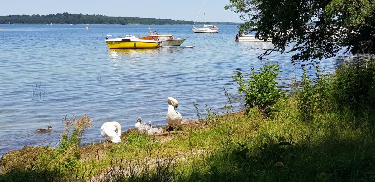 Ferienwohnung Am Schweriner See Raben Steinfeld ภายนอก รูปภาพ